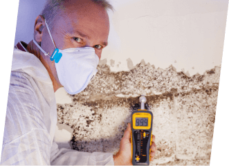 Mold Inspection